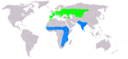 Light Green: nesting areaBlue: wintering area