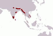 Asian Elephant range