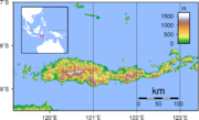 Flores Topography.png