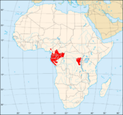 distribution of Gorilla