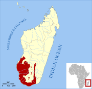 Distribution of Lemur catta[3]