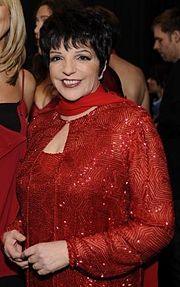 Liza Minnelli.jpg