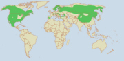 The overall range of Lynx species.