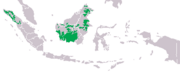 Orangutan distribution