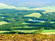 Vista da Serra de Santa Bárbara, ilha Terceira, Açores, Portugal.jpg