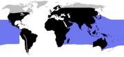 World range of snakes(rough range of sea snakes in blue)