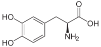 3,4-Dihydroxy-L-phenylalanin (Levodopa).svg