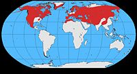 Common Raven range