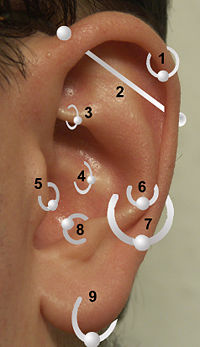 1) Helix/Cartilage, 2) Industrial, 3) Rook, 4) Daith, 5) Tragus, 6) Snug, 7) Conch, 8) Anti-Tragus, 9) Lobe