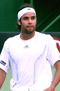 Fernando Gonzalez 2007 Australian Open R2.jpg