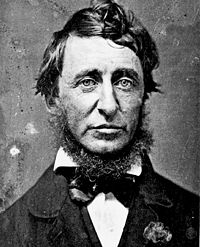 Henry David Thoreau.jpg