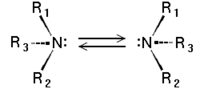 amine inversion