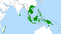 Global distribution of Nepenthes.