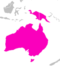 Range of short-beaked Echidna