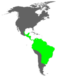 Global range (In green)