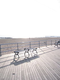 Coney Island Walk.jpg