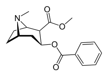 Cocaine-2D-skeletal.svg