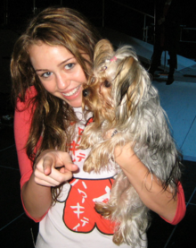 Miley Cyrus with her dog, Roadie