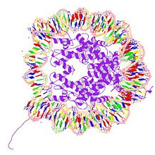 PBB Protein H2AFJ image.jpg