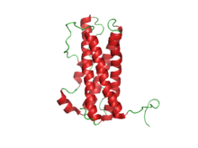 PRL structure.png