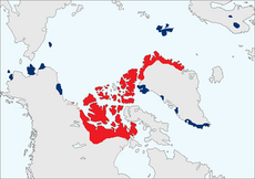 Range map. Blue indicates areas where the muskox has been successfully introduced in the 20th century. Red indicates established range.