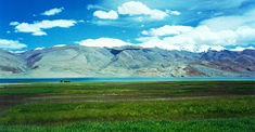 Lake Tso Moriri in Ladakh