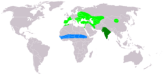 Light Green: nesting areaBlue: wintering areaDark Green: resident all year