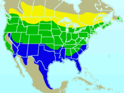 Range/distribution map of the American Goldfinch. ������Summer-only range; ������Year-round range; ������Winter-only range