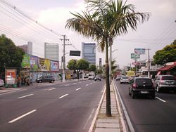 Djalma Batista Avenue