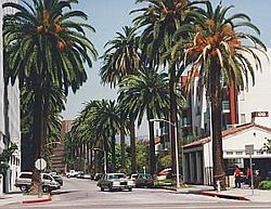 Picture of Beverly Hills taken at Wilshire Boulevard