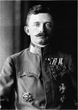 Emperor karl of austria-hungary 1917.png