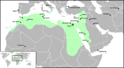 Location of Fatimid Caliphate