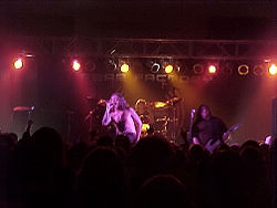 Fear factory live.jpg