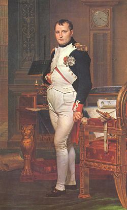 Napoleon by Jacques-Louis David (1812)