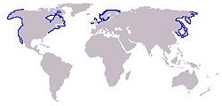 Range of Phoca vitulina