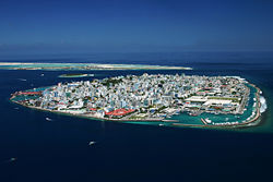 Malé