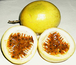 Ripe yellow passion fruit, or "maracuyá"