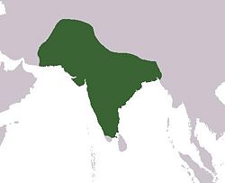 Location of Mughal Empire/ The Mughals