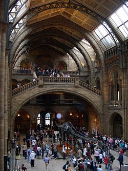 Natural History Museum hall.jpg