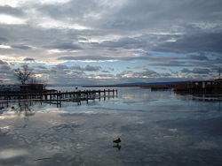 Lake Neusiedl