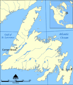 Newfoundland (island) (Newfoundland)