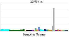 PBB GE CRP 205753 at tn.png