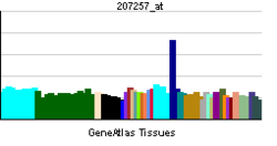 PBB GE EPO 207257 at tn.png