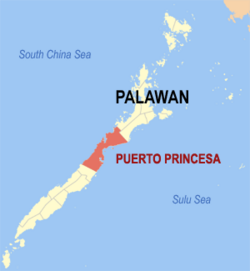 Map of Palawan showing the location of Puerto Princesa City.