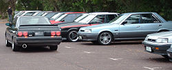 R31 Skyline.jpg