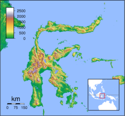 Sulawesi Locator Topography.png