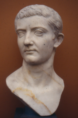 Tiberius NyCarlsberg Mirrored.png