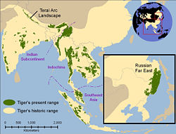 Historical distribution of tigers (pale yellow) and 2006 (green).[2]