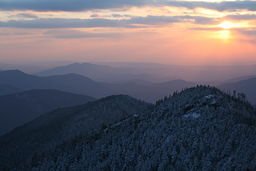 none View from atop Mount Le Conte