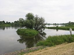 none Oder between Kienitz and Zollbrücke, Germany